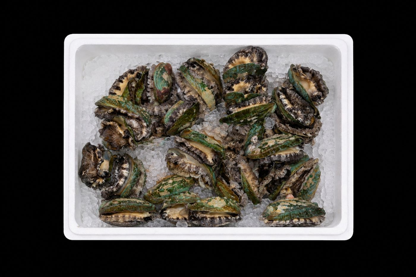 Awabi – Abalone