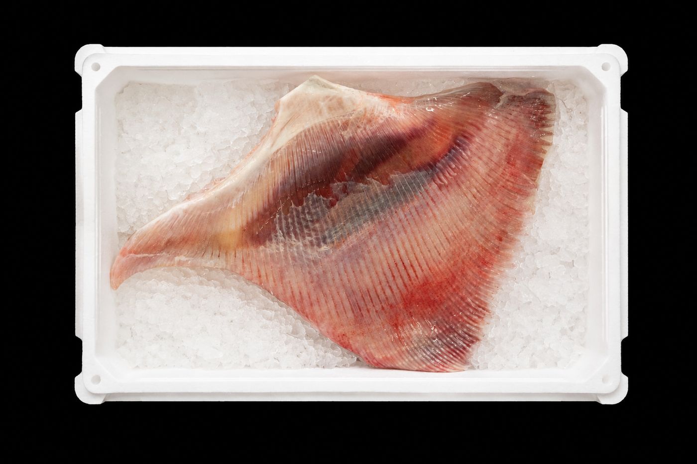Ei-hire – Skate wing