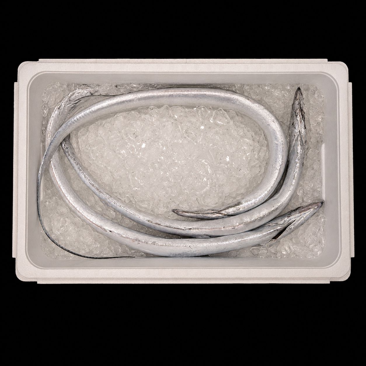 Tachiuo – Largehead hairtail