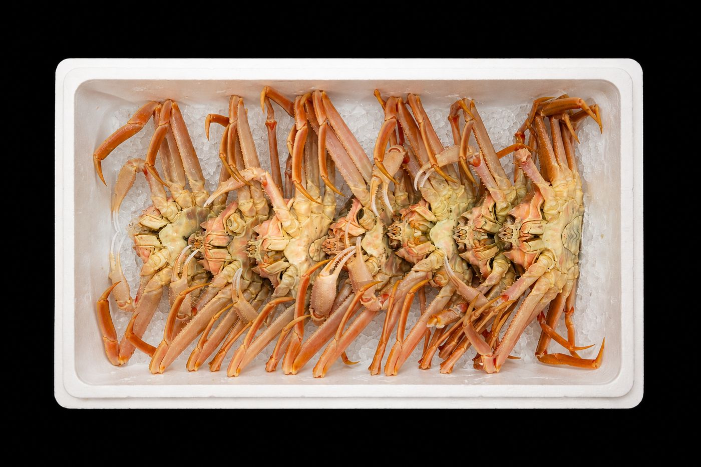 Zuwai-gani – Snow crab