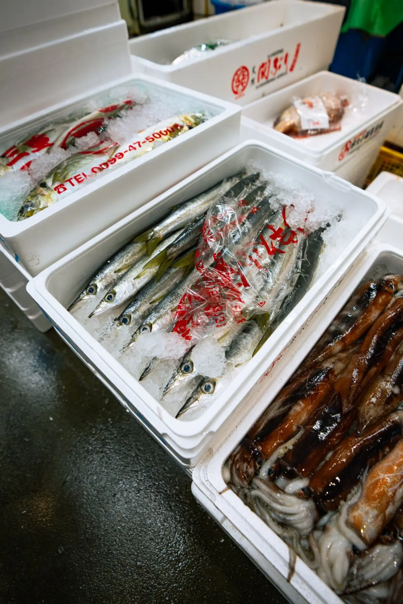 Fish packed in styrofoam boxes
