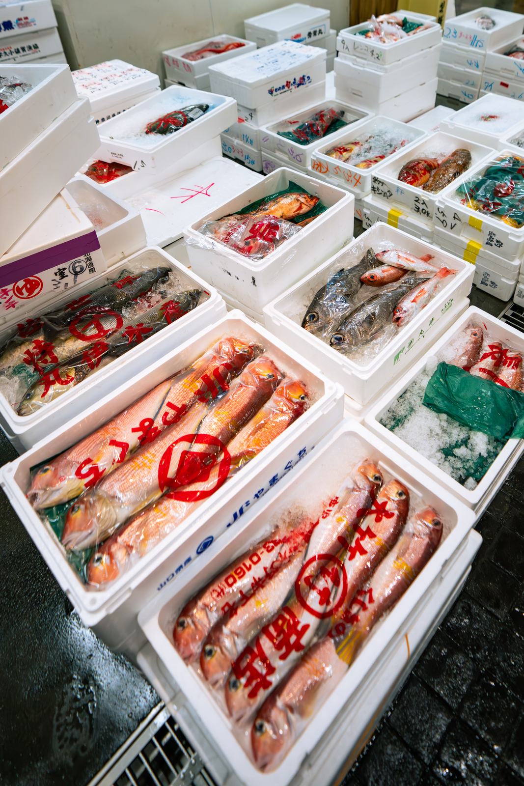 Boxes of red fish from Yamaguchi and Hokkaido