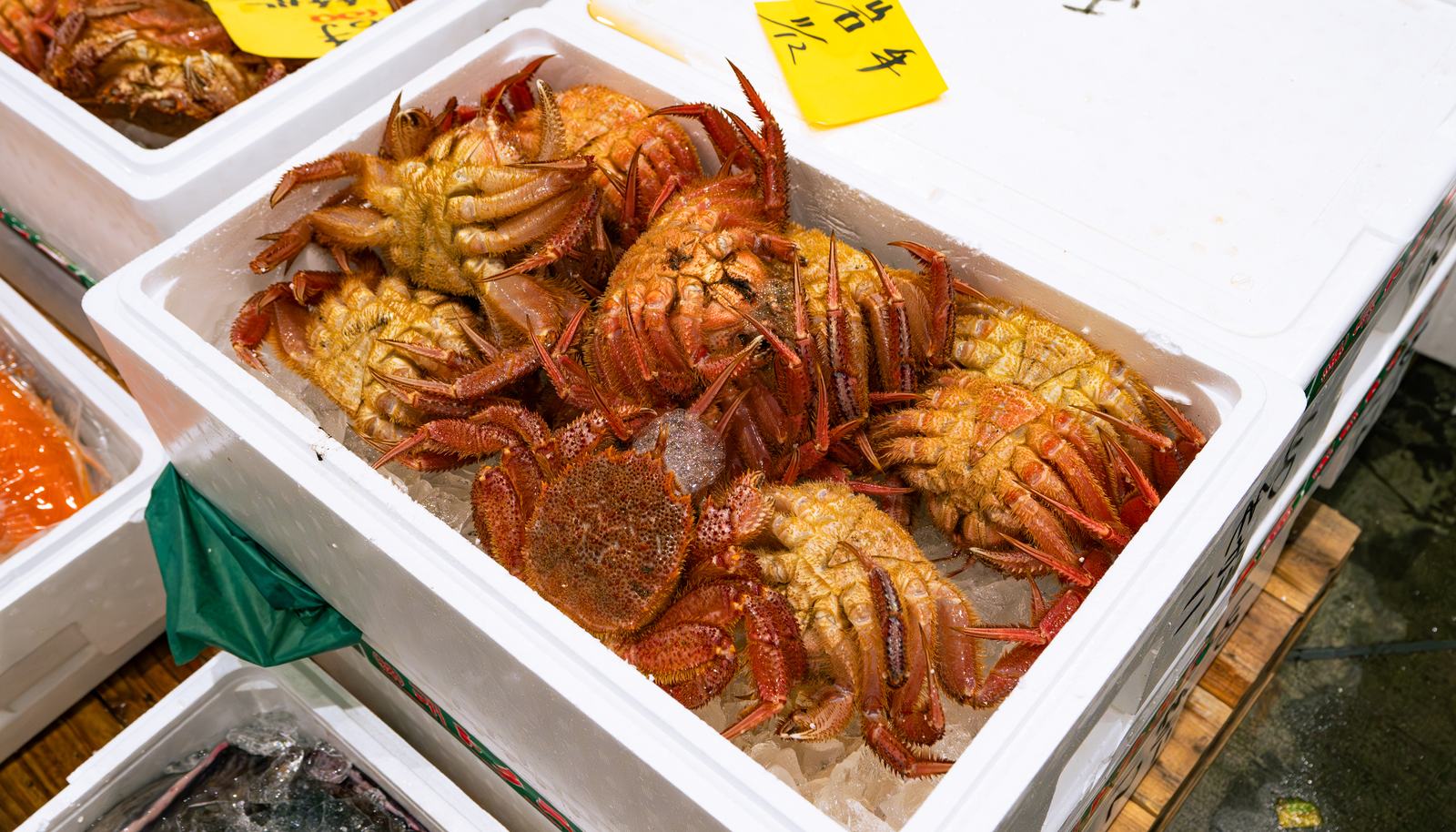 Kegani – Horsehair crab