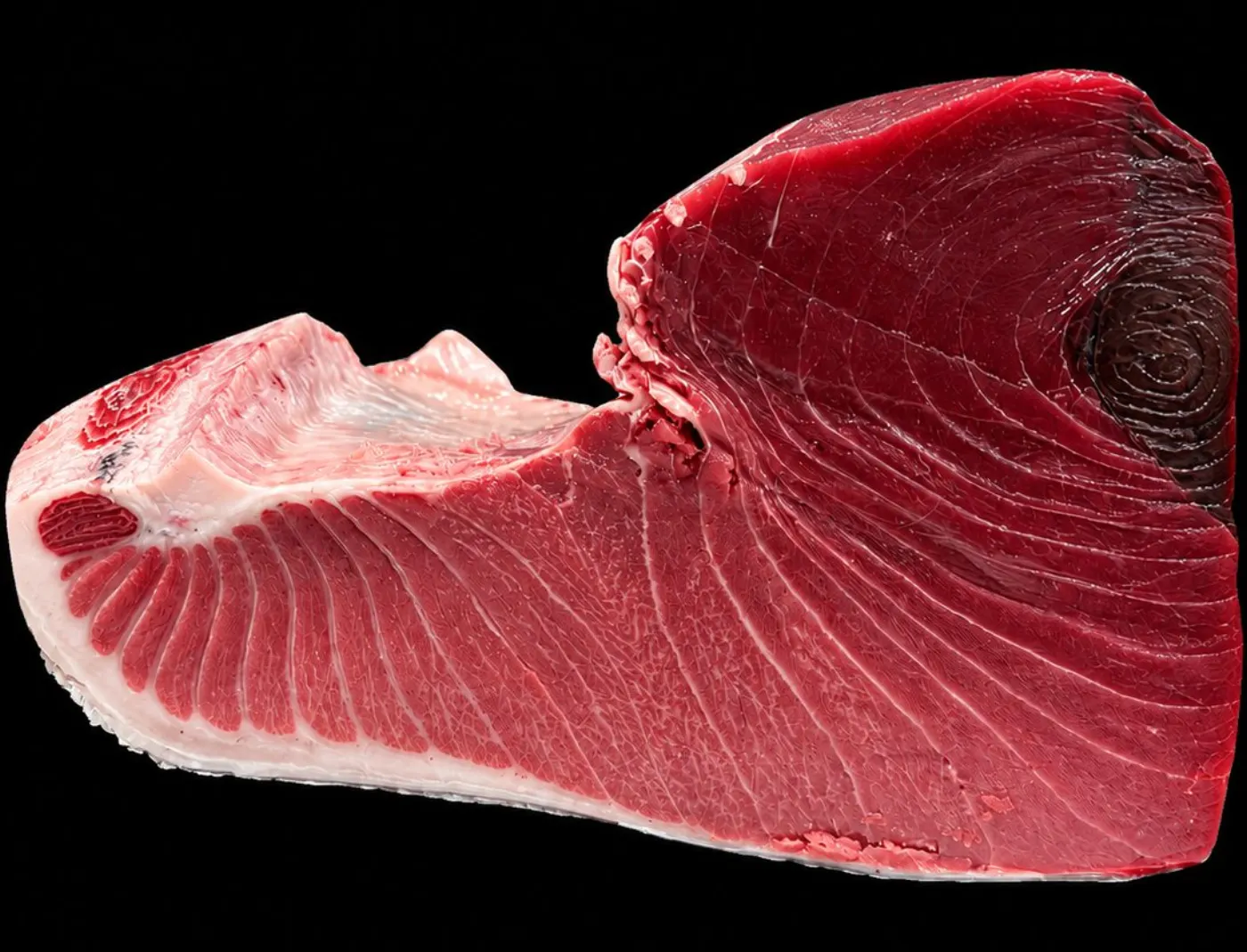 Tuna