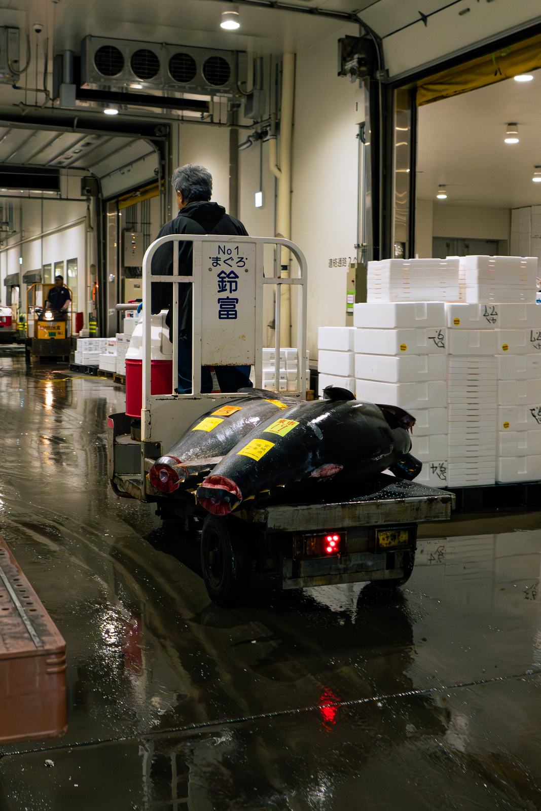 Whole tuna moved on a turret truck through Toyosu