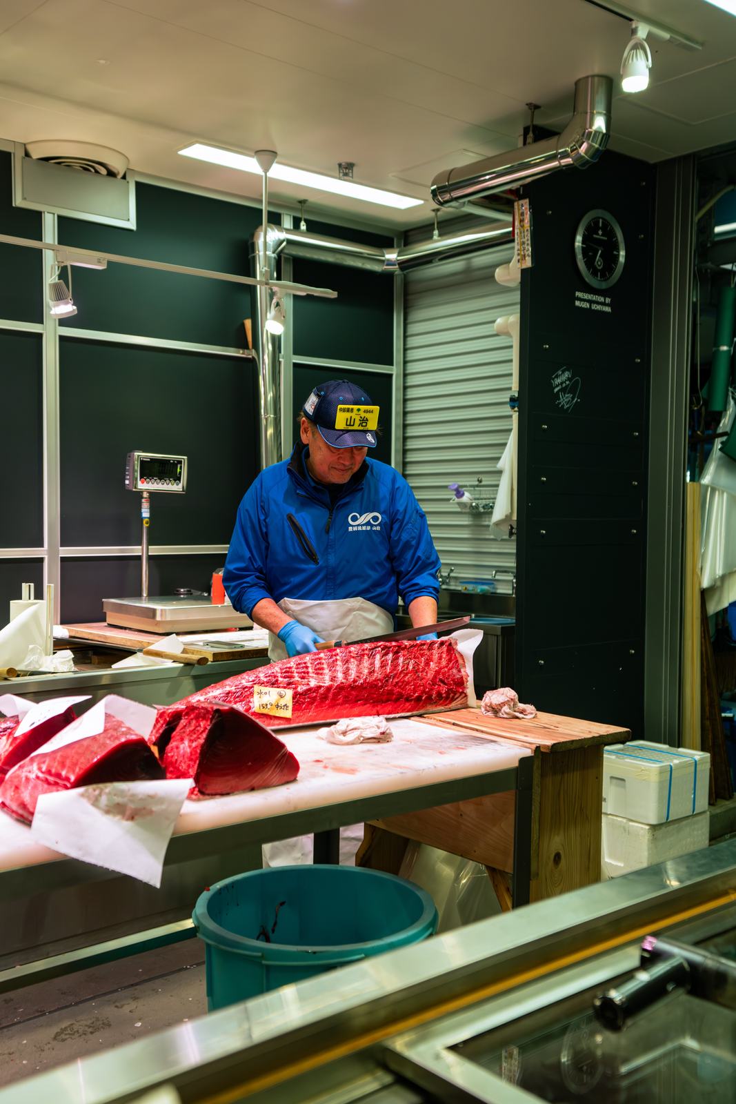 Hon-maguro, farmed – Bluefin tuna, farmed