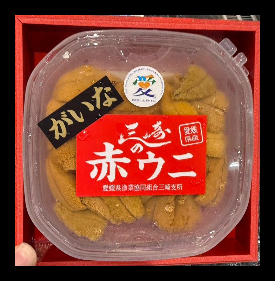 Gaina · Misaki aka uni – Aka uni in seawater, special grade